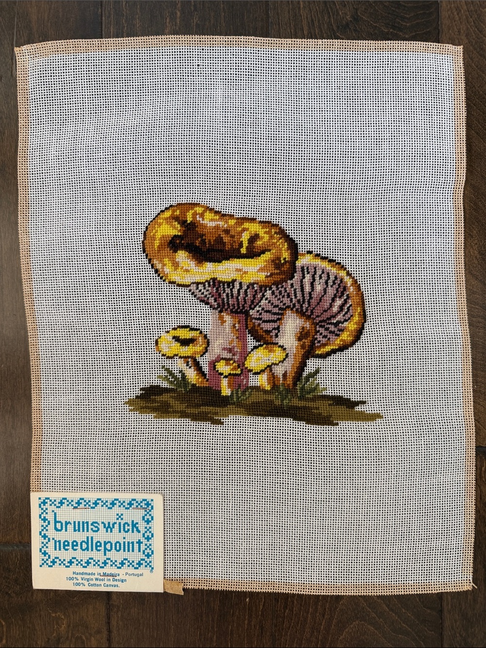 Incomplete Needlepoint - Mushrooms